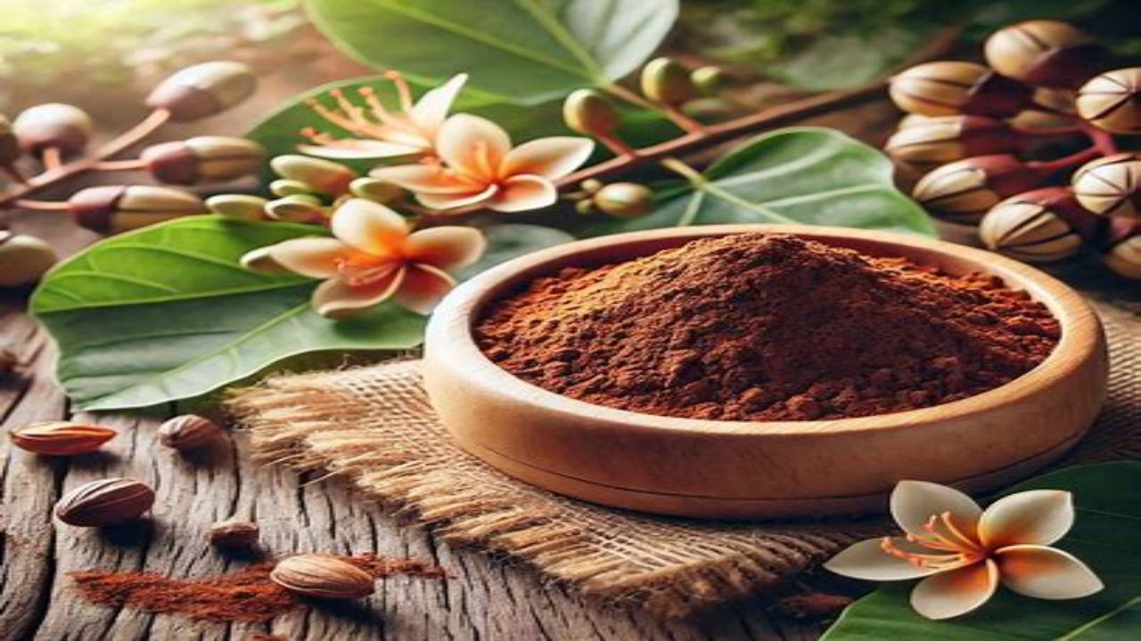 অর্জুন গাছের ছালের গুড়া খাওয়ার নিয়ম জেনে রাখুন